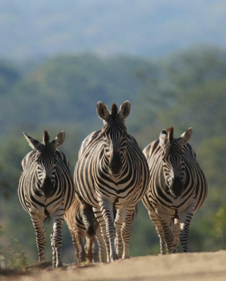 Отель Parsons Hilltop Safari Camp Заповедник Балуле Экстерьер фото