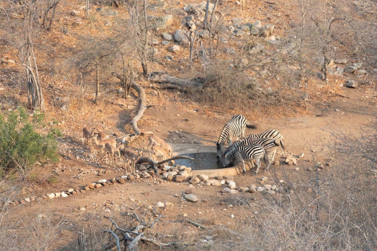 Отель Parsons Hilltop Safari Camp Заповедник Балуле Экстерьер фото